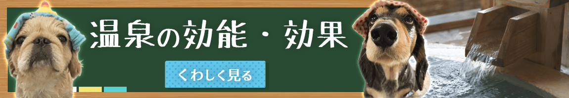 温泉の効能・効果　詳しく見る