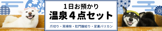 1日お預かり温泉4点セット