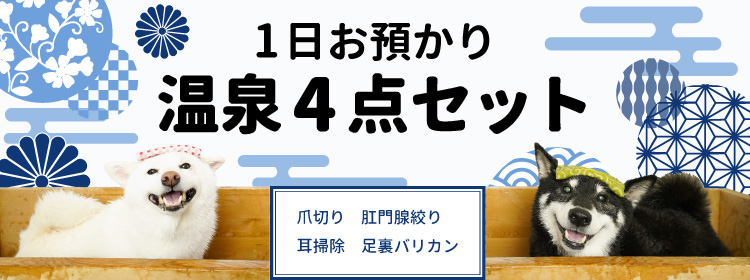 1日お預かり温泉4点セット