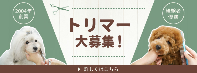 2004年創業 経験者優遇 トリマー大募集！